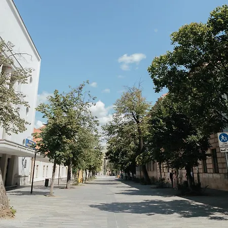 Contessa Napoca Cluj-Napoca