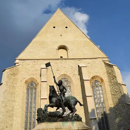 Contessa Napoca Kluż-Napoka