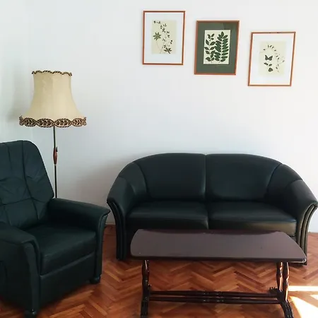 Contessa Napoca
